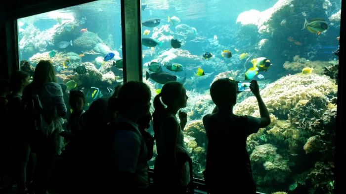 Klasse im Aquarienhaus