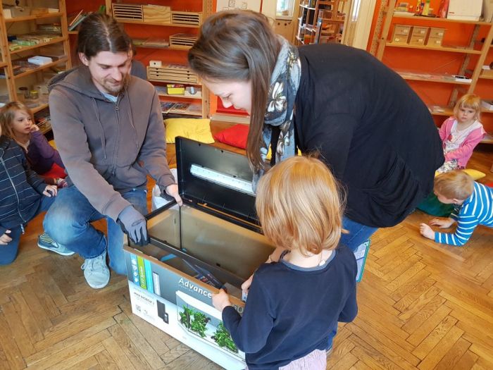 Auspacken des Aquariums