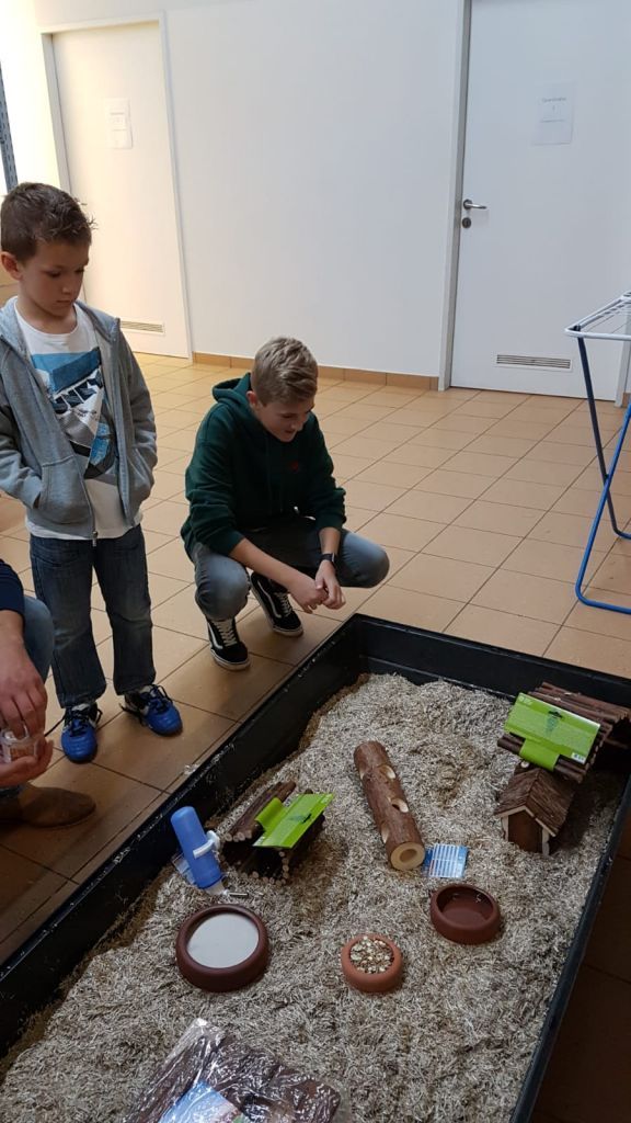 ...für größere Tiere... ...für größere Tiere...