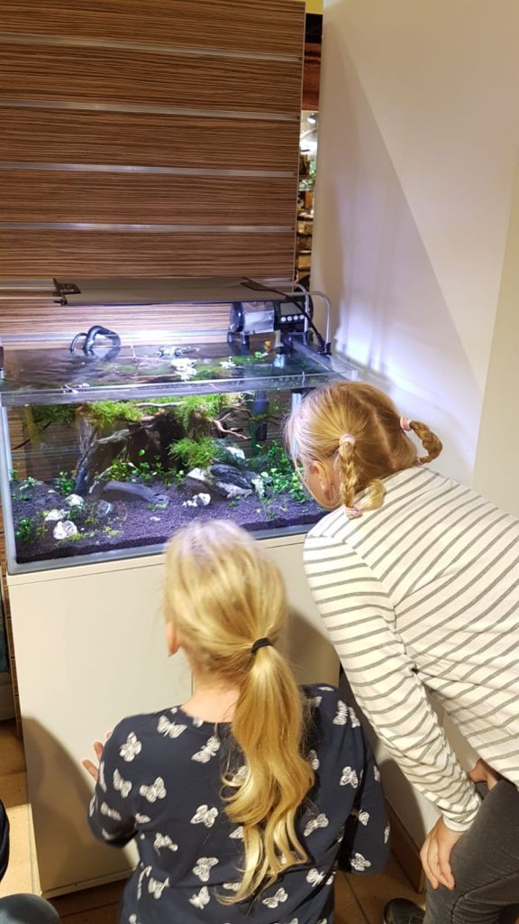 Süsswasseraquaristik Süsswasseraquaristik