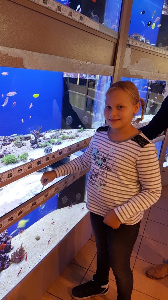 Meerwasseraquaristik Meerwasseraquaristik