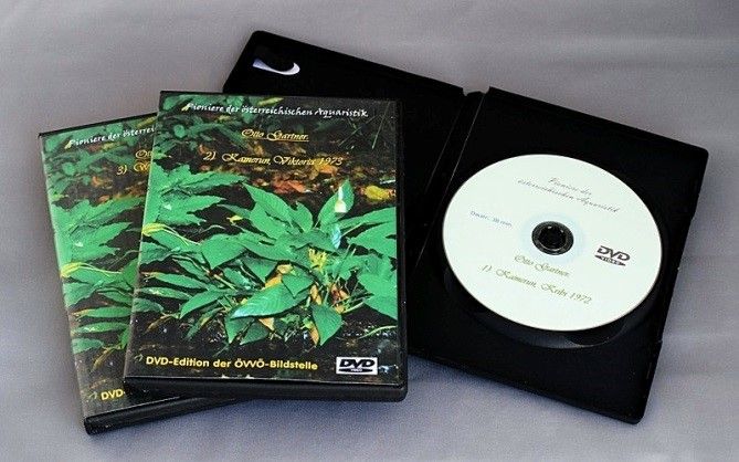 DVD Serie DVD Serie