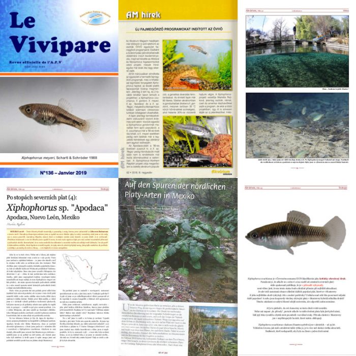 XNP Projekt Publikationen XNP Project publications