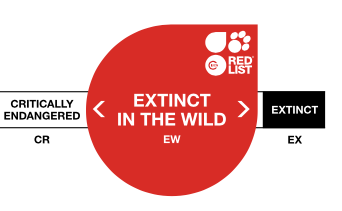 Extinct in the Wild Extinct in the Wild