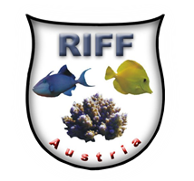 RIFF - AUSTRIA Verein für Meeresaquaristik RIFF - AUSTRIA Verein für Meeresaquaristik