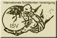 Internationale Schildkröten Vereinigung Internationale Schildkröten Vereinigung
