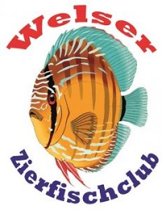 Welser Zierfischclub Welser Zierfischclub