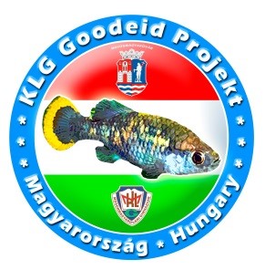 KLG Goodeid Project