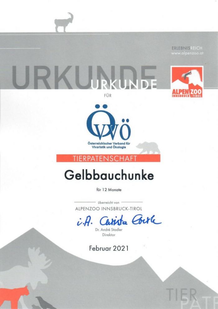 Tierpatenschaft Gelbbauchunke Tierpatenschaft Gelbbauchunke